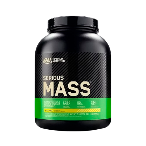 Serious Mass 6LB